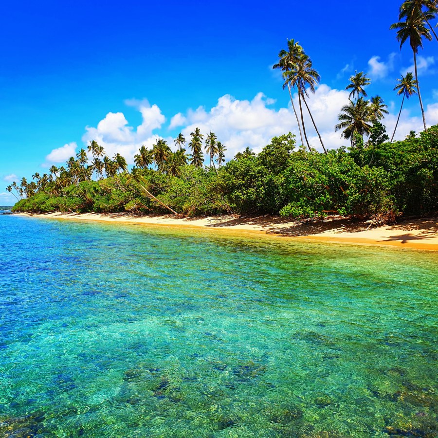 Continent in Focus: Australia and&nbsp;Oceania